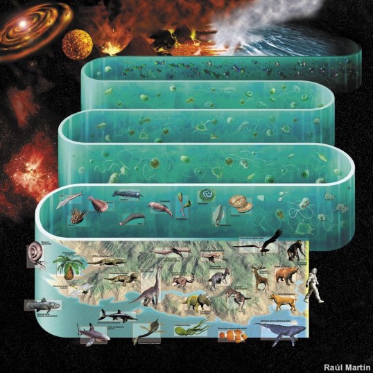 Evolucion de la Vida en el Planeta Tierra